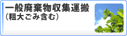 ��ʔp�������W�^��(�e�傲�݊܂�)